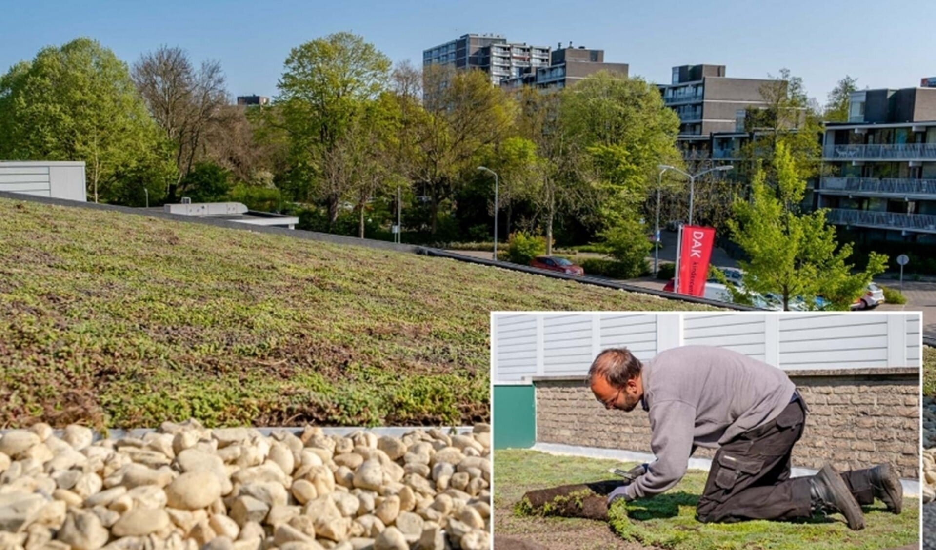 De aanleg van een groen dak op kindercentrum EVA DAK in Essesteijn (foto en inzetje: gemeente LV).
