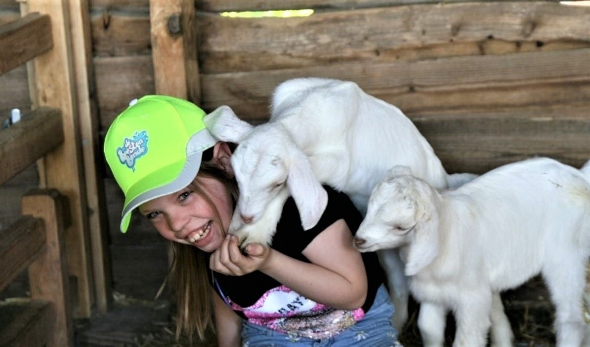 De BeestenBende speelt bewust in op de belevingswereld van jonge kinderen (foto: pr).