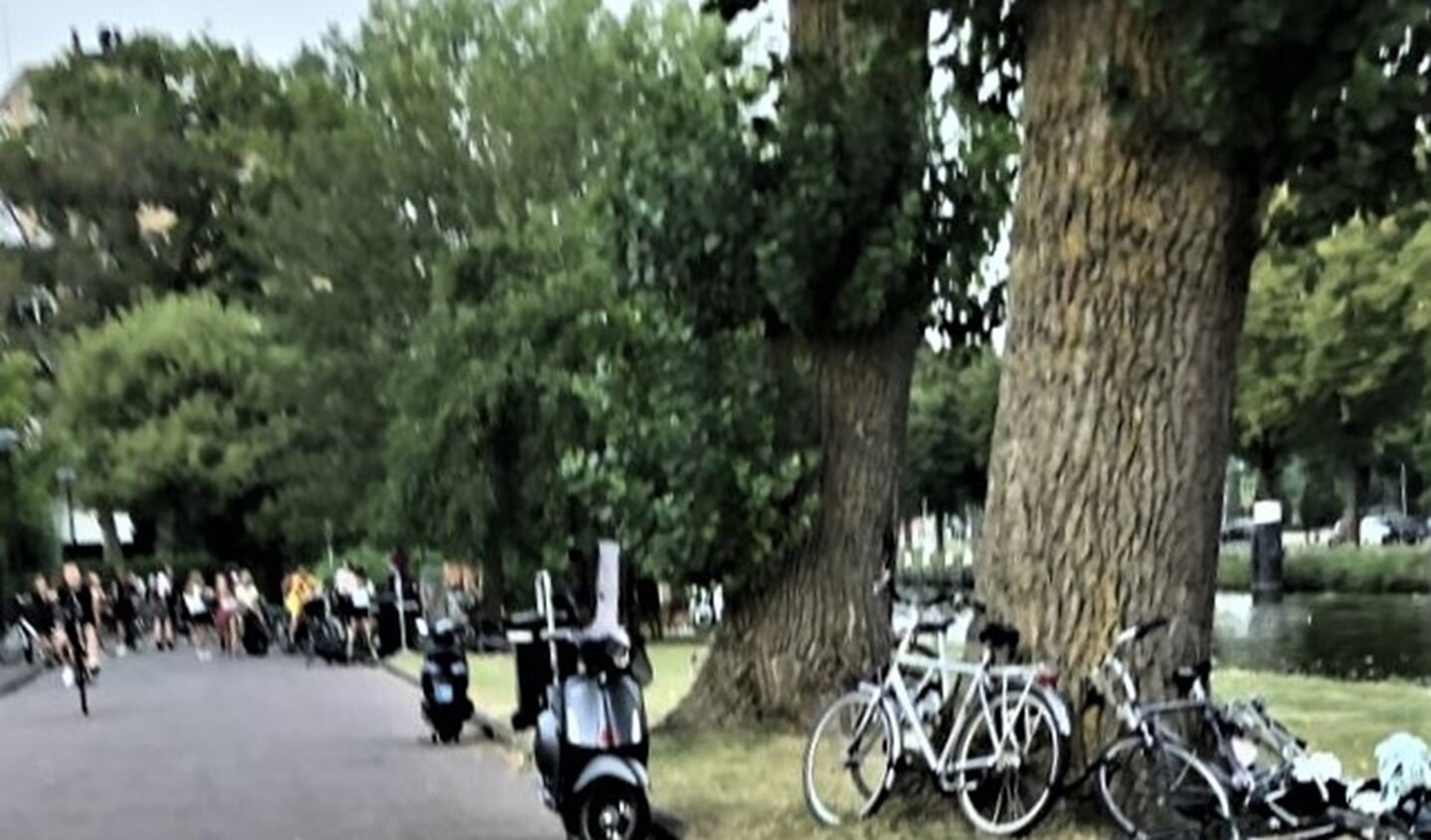 Een grote groep jongeren zorgt in Park Leeuwensteijn voor overlast. Bewoners houden wijselijk afstand (foto: pr).