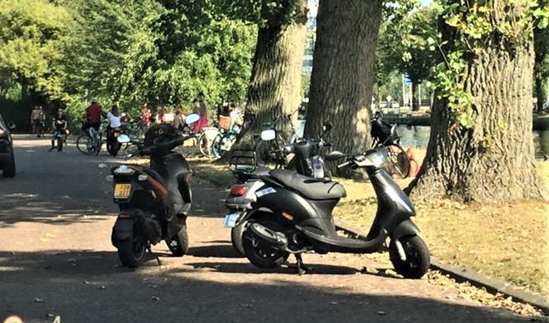 Jongeren in Park Leeuwensteijn, met hun scooters midden op straat en drukte op de groenstrook aan de Vliet (foto: pr).