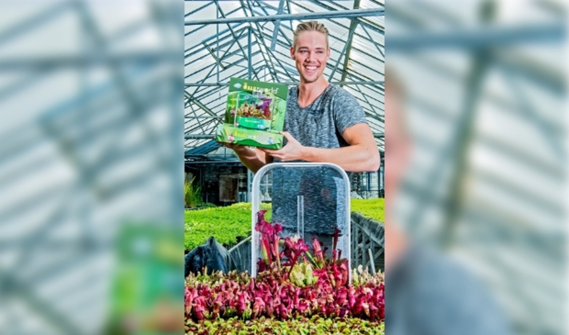 Chris van der Velde verkoopt terrariums met vleesetende planten als de oplossing tegen muggen. Foto: Frank de Roo 