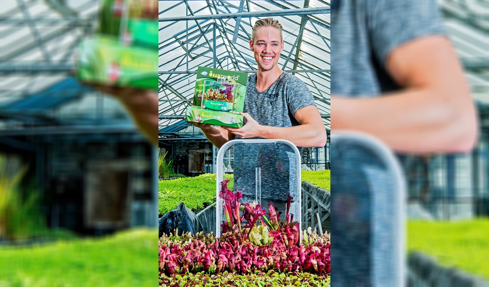 Chris van der Velde verkoopt terrariums met vleesetende planten als de oplossing tegen muggen. Foto: Frank de Roo