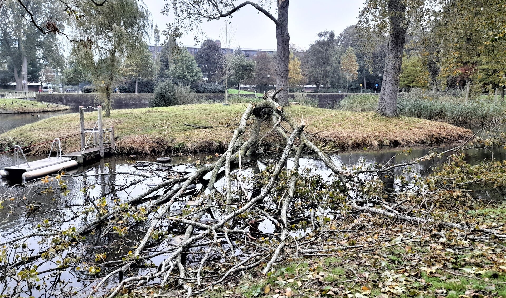 De omgewaaide boom in de wijk De Prinsenhof in Leidschendam (foto: Guus Kopijn). 