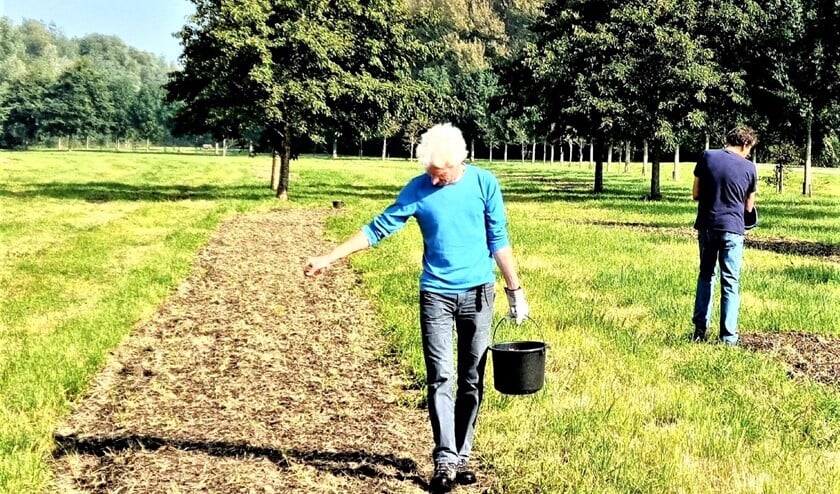 <p>Door het inzaaien met een kruidenrijk bloemenmengsel krijgt Vlietland een extra fleurig aanzicht (foto: Vrienden van Vlietland).</p>
