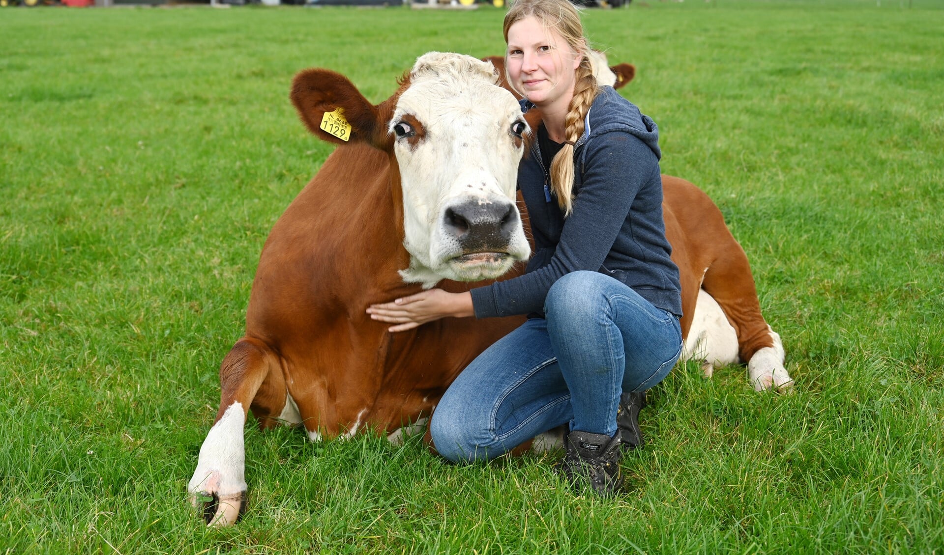 Karlijne met een van de koeien. Foto's Gerard van Warmerdam