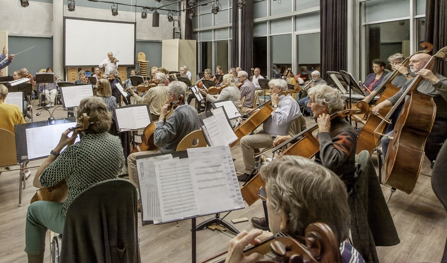 Het Rijnlands Symfonieorkest.