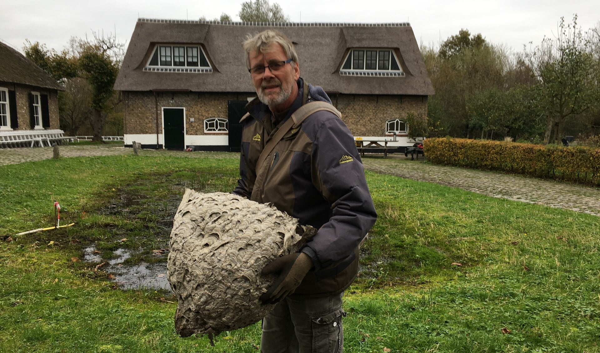Wespennest in handen van Simon Knot bij Ackerdijkse plassen. (foto: Cees Zwinkels)