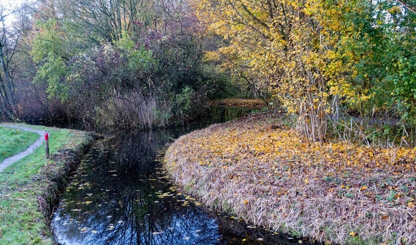 Bijzondere structuur van de Natuurtuin