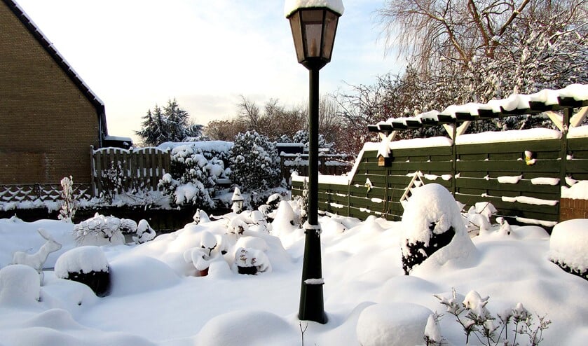 Bij de foto: Sneeuw vormt het beste winterdek voor tuinplanten (foto: Groei en Bloei).