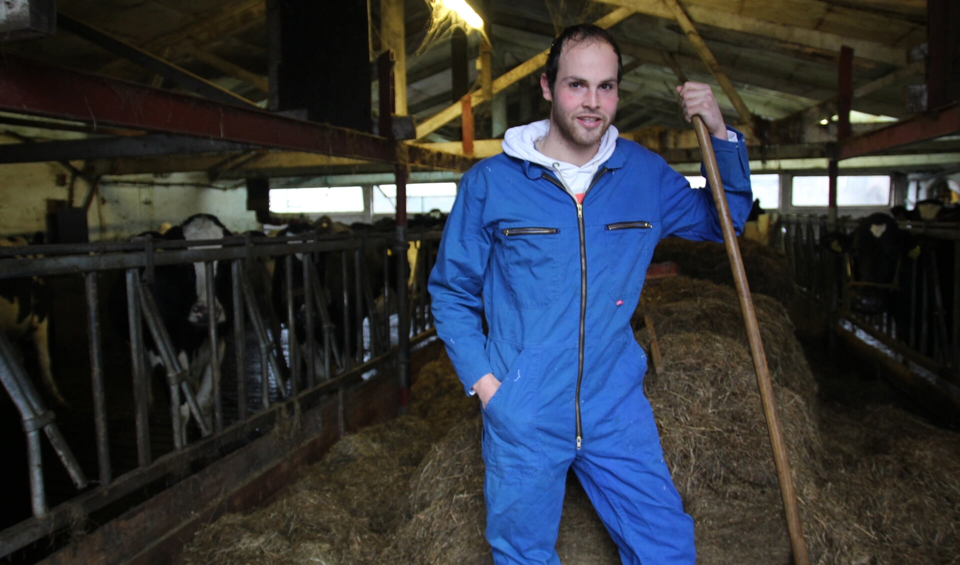Luke wil een moderne stal bouwen en de melk van de koeien gaan verzuivelen tot kaas, boter en andere zuivelproducten. 