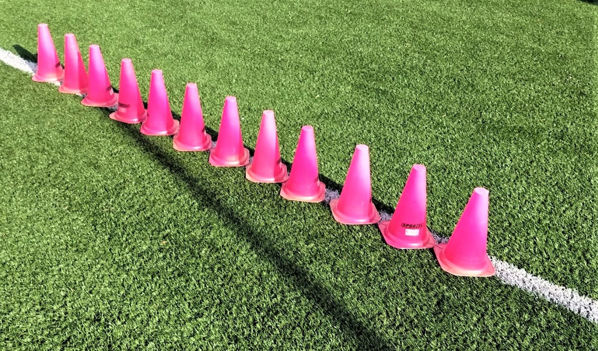 Voor de verschillende voetbalvormen worden roze pionnen gebruikt (foto: pr RKAVV).