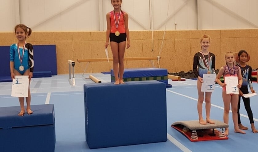 Prijsuitreiking niveau 5/6