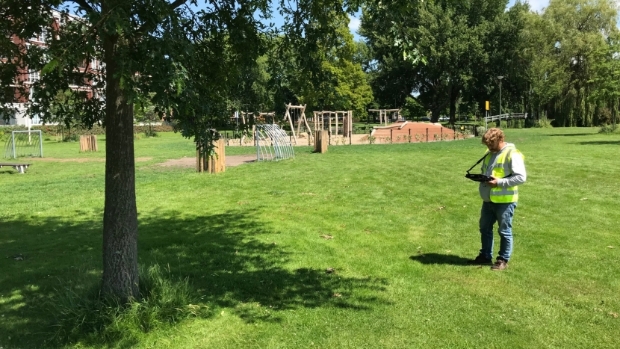 Gemeente gestart met jaarlijkse boomcontrole