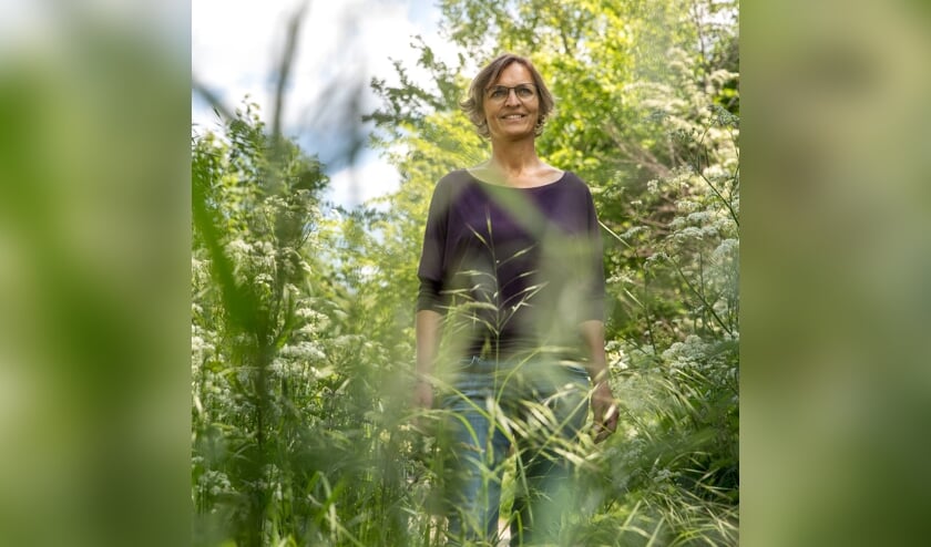 Mindful wandeling
