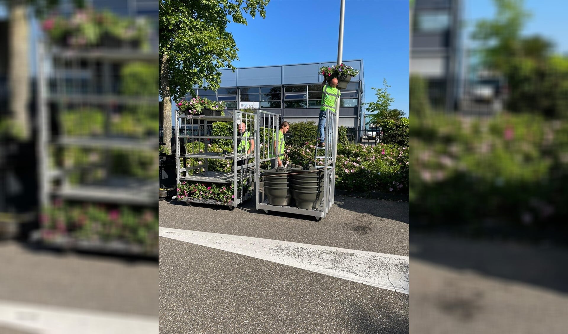 Het hele bedrijvenpark is volop in de bloemen gezet. Op alle wegen zijn hanging baskets opgehangen en bij de entree staat een fraaie bloemenzuil.