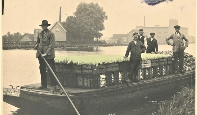 Veilingschuit op de Vliet ca 1930 (archieffoto).