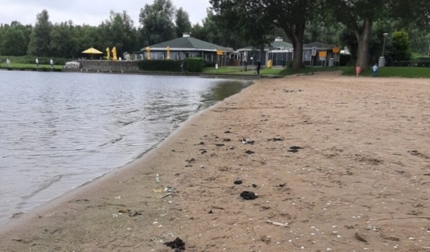 Het Noord Aa strand ligt bezwaaid met vogelpoep.