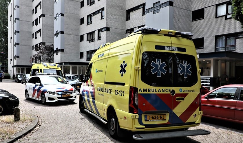 <p>De persoon die werd neergestoken aan De Haar overleefde het niet (foto: Sebastiaan Barel).</p>