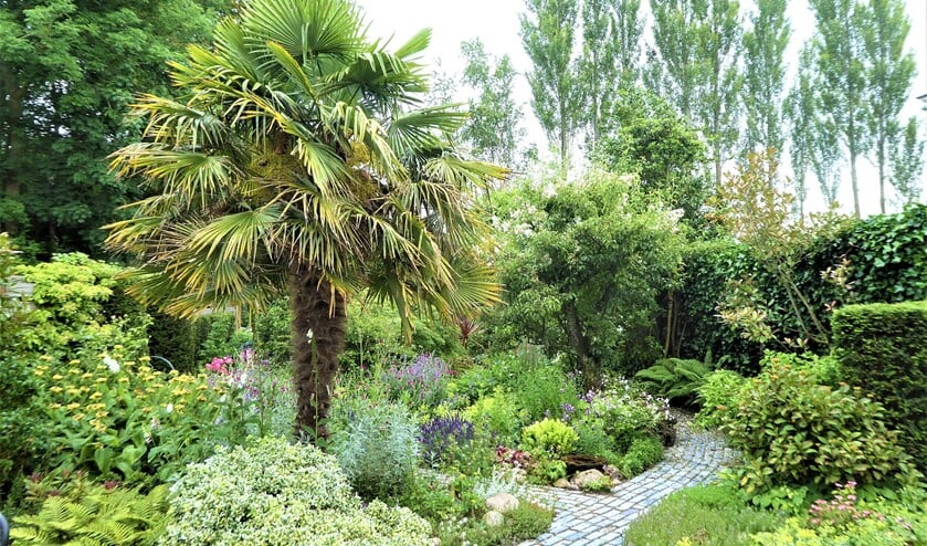 <p>Tien tuineigenaren zetten hun tuindeur open. Alle tuinen bieden weer iets anders qua beplanting, grootte en uitstraling (foto: Els Andringa).</p>