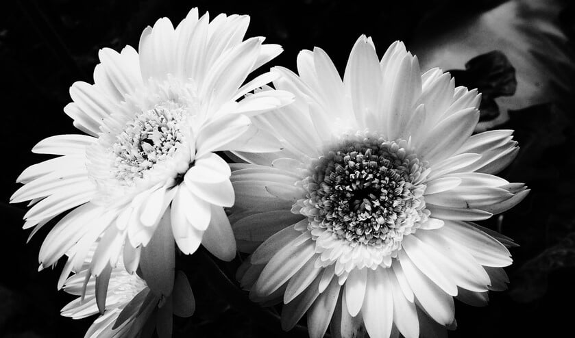 <p>Foto: Pok Rie</p>