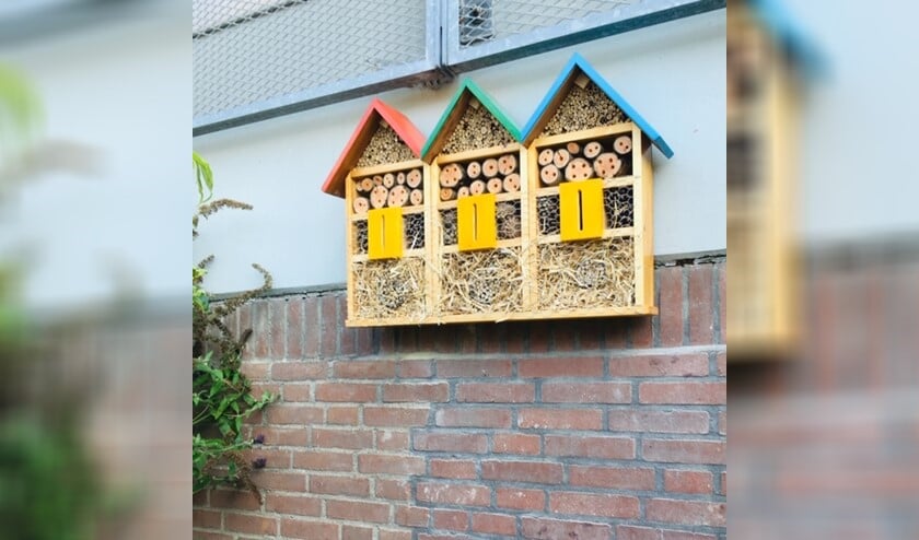 Fleurig insectenhotel. Foto: Simone Buitenweg.