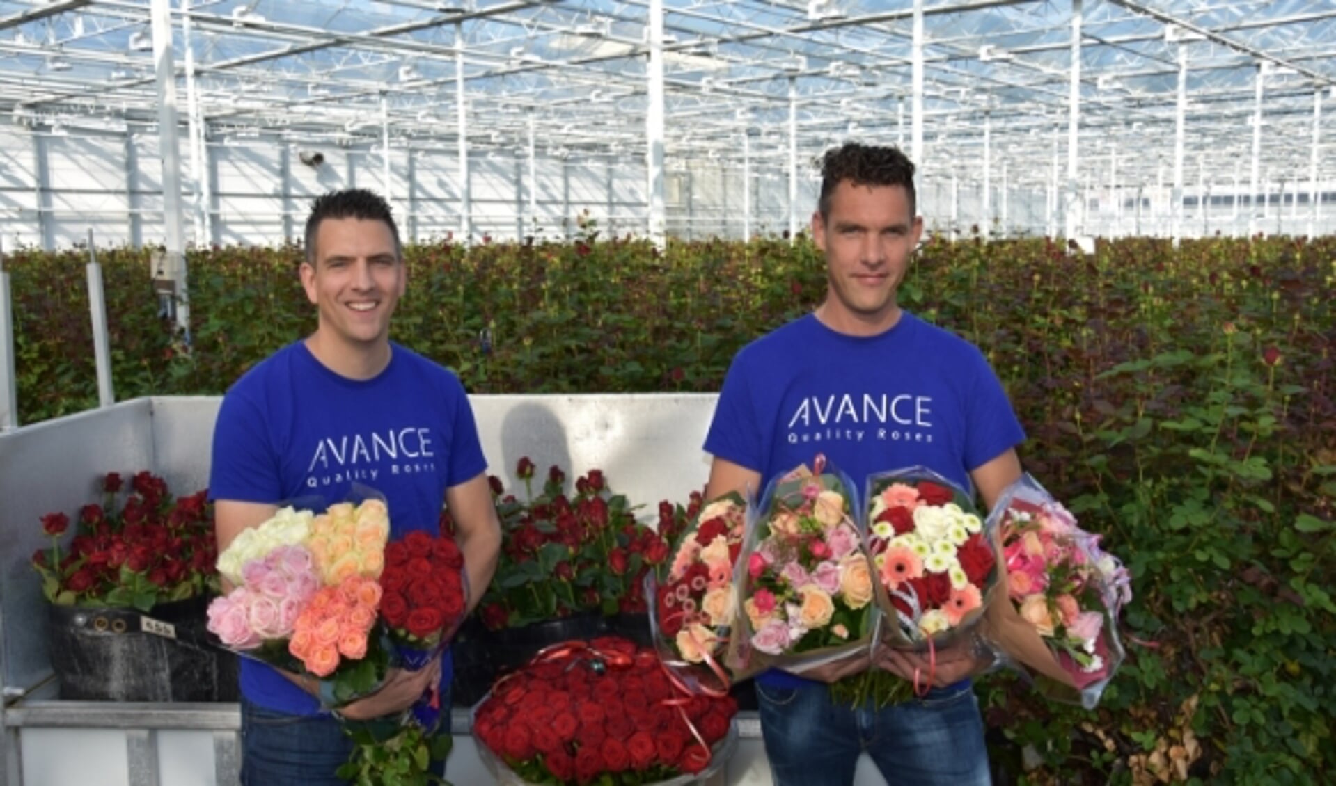 (Links) Frank en (rechts) Robin, te midden van de prachtige rozen. 