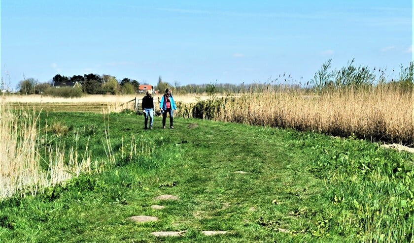 Er wordt gewandeld in de omgeving van Stompwijk, Vlietland en Leidschendammerhout (foto: pr SenW).