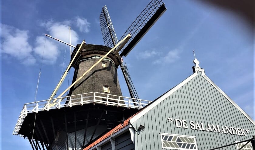<p>De staart van de molen met een van de 2 lange schoren (foto: pr Salamander).</p>