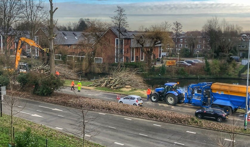 De aan de kant van het Raadhuiskwartier op de Noordsingel gekapte bomen worden meteen versnipperd (foto: Jan Harm Bakhuys).