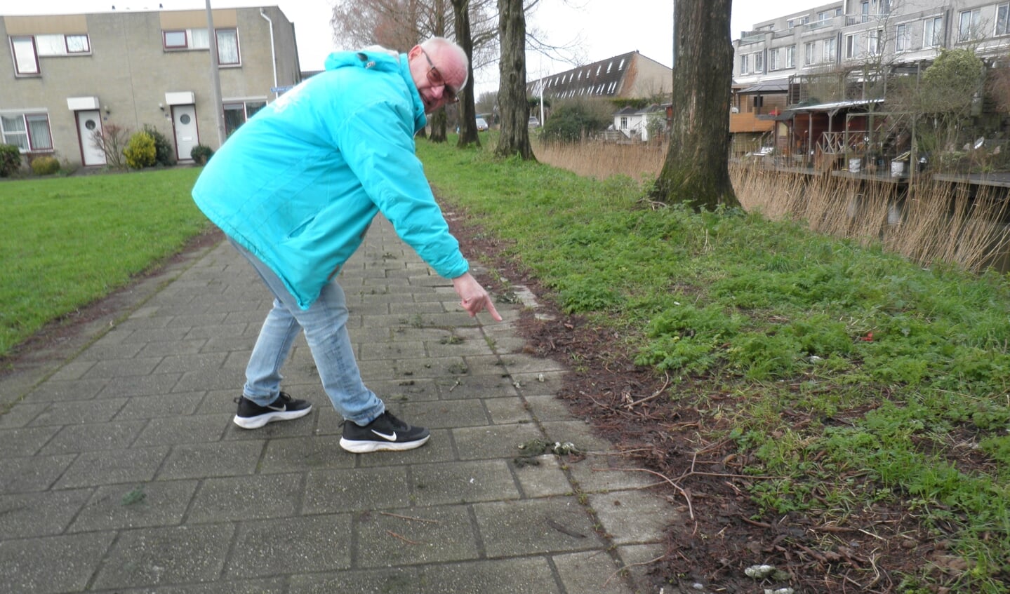 Terwijl zojuist de gemeente het pad nabij de Skidmorelijn heeft schoongemaakt, wijst Ton Nieuwenhuijsen nieuwe uitwerpselen van ganzen aan. Foto Kees van Rongen
