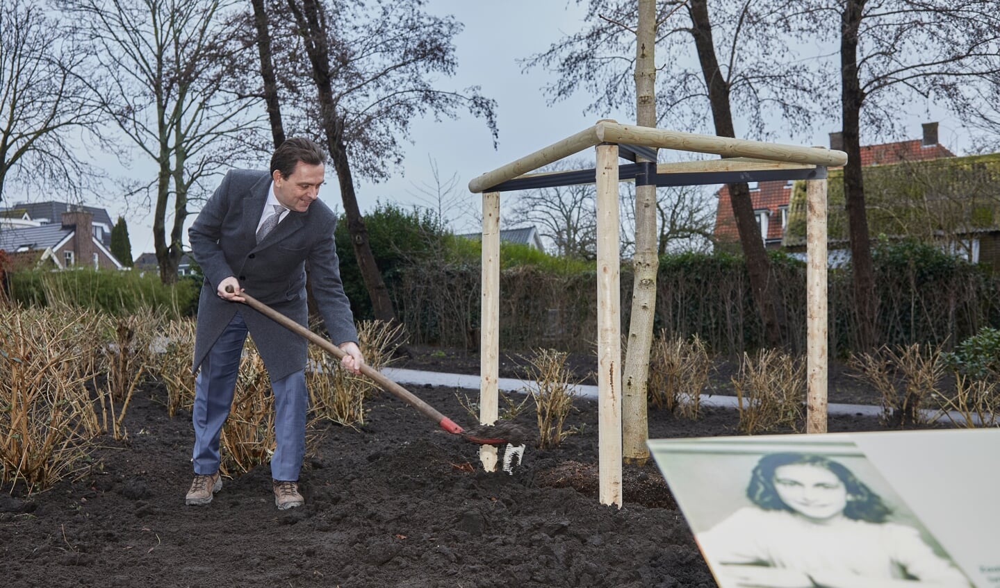Burgemeester Bezuijen plant een zaailing van de Anne Frank boom in het Wilhelminapark.