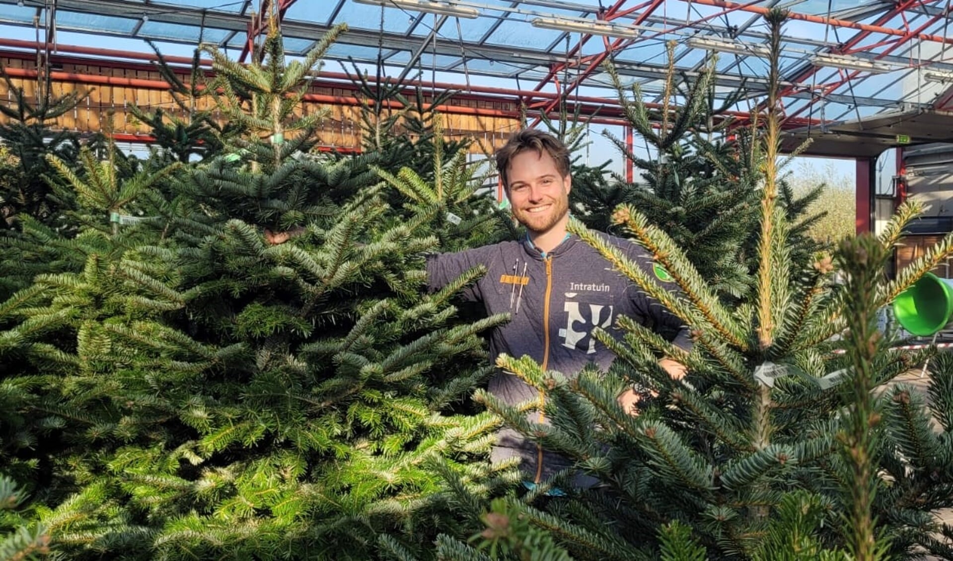Bij Intratuin Pijnacker heb je ruim keus uit de mooiste kerstbomen!