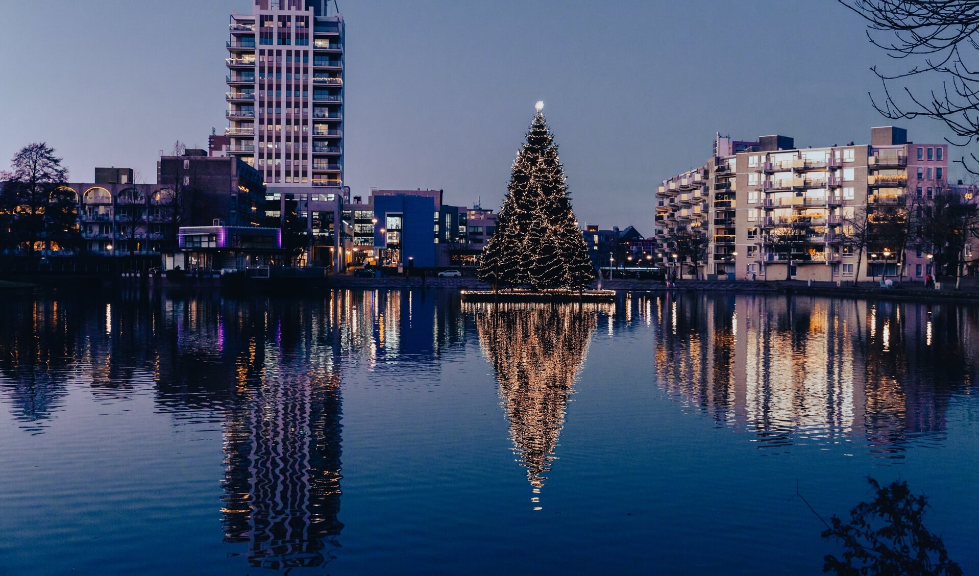 De kerstboom op de Dobbe