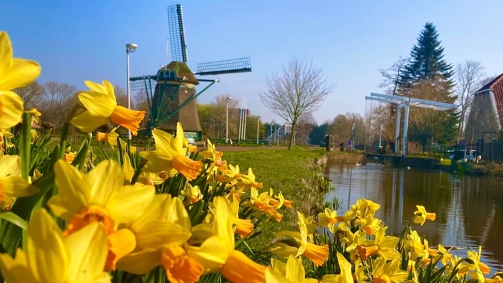 Vier de lente in Essesteijn. (Foto: PR)