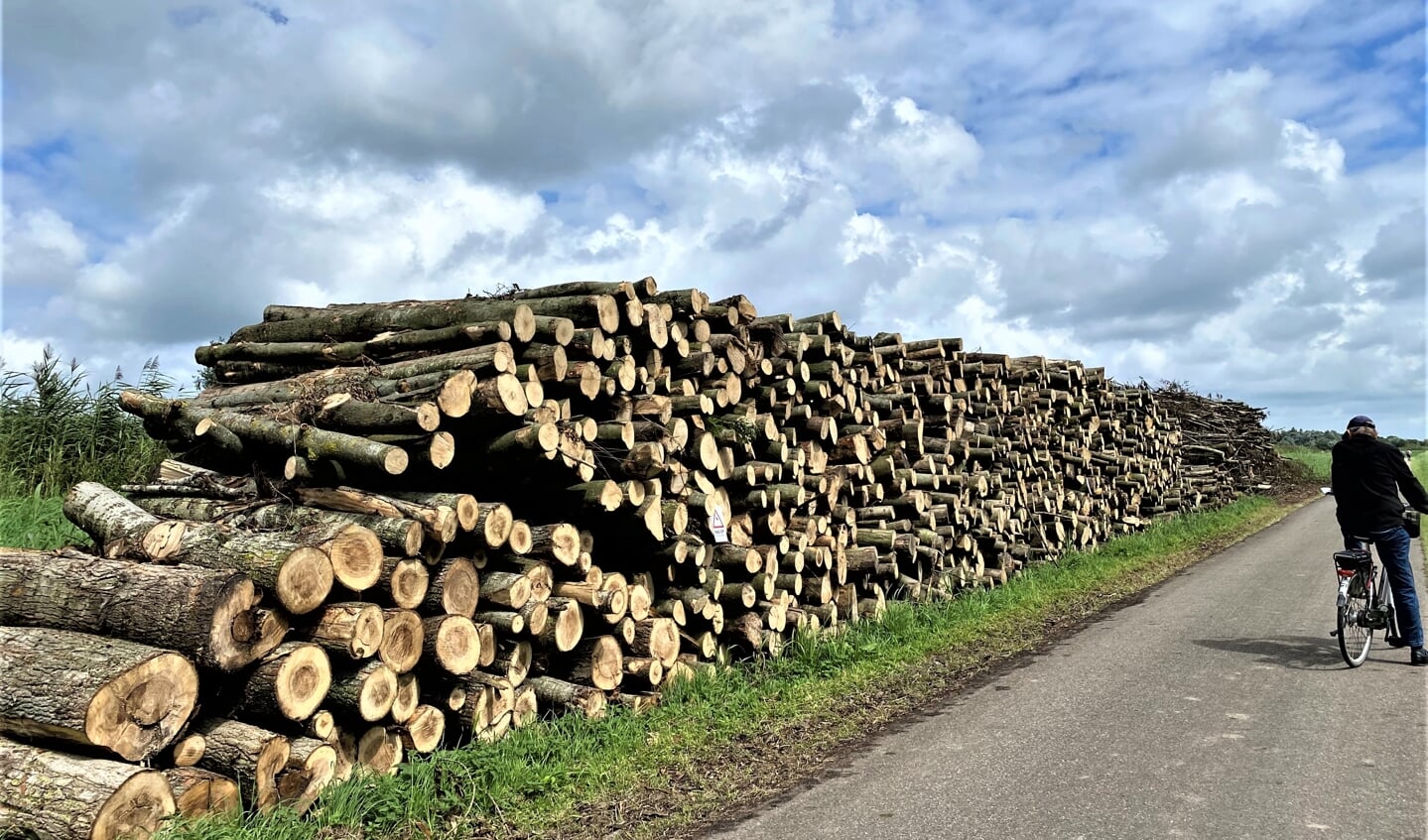 Door grootschalige bomenkap in Vlietland is de natuurlijke geluidwering verdwenen (foto: Ria Luiten).