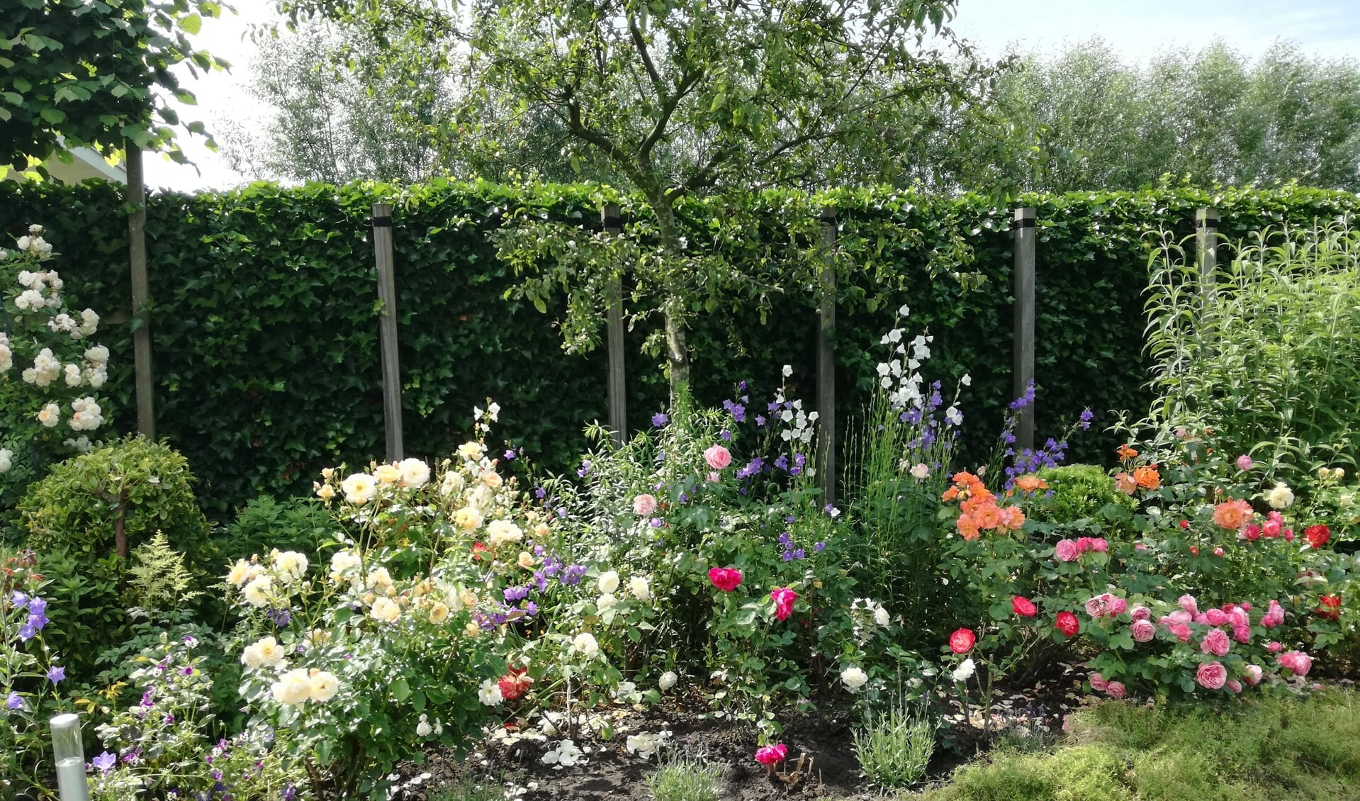 Ook een schitterende tuin? Deel het met de bezoekers van de Open Tuinen-route!