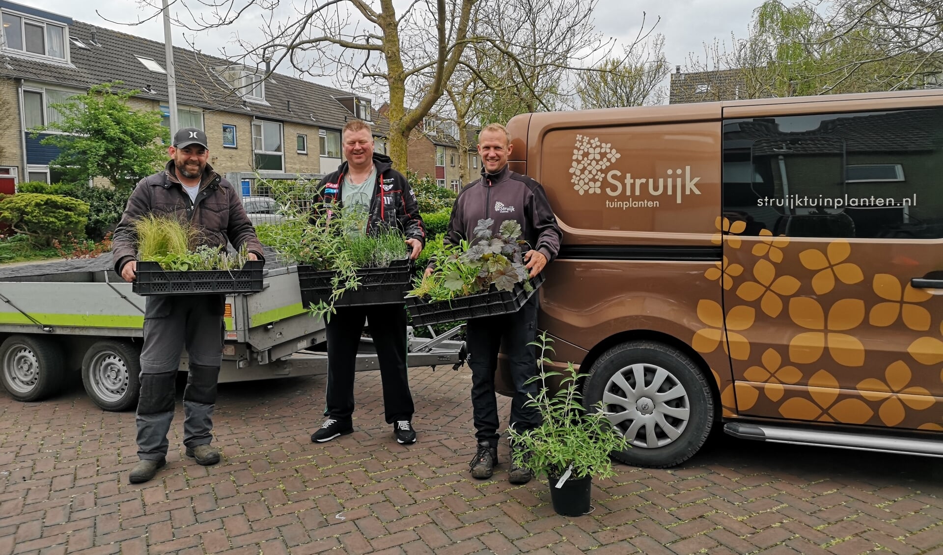 Prachtige struiken van Struijk!