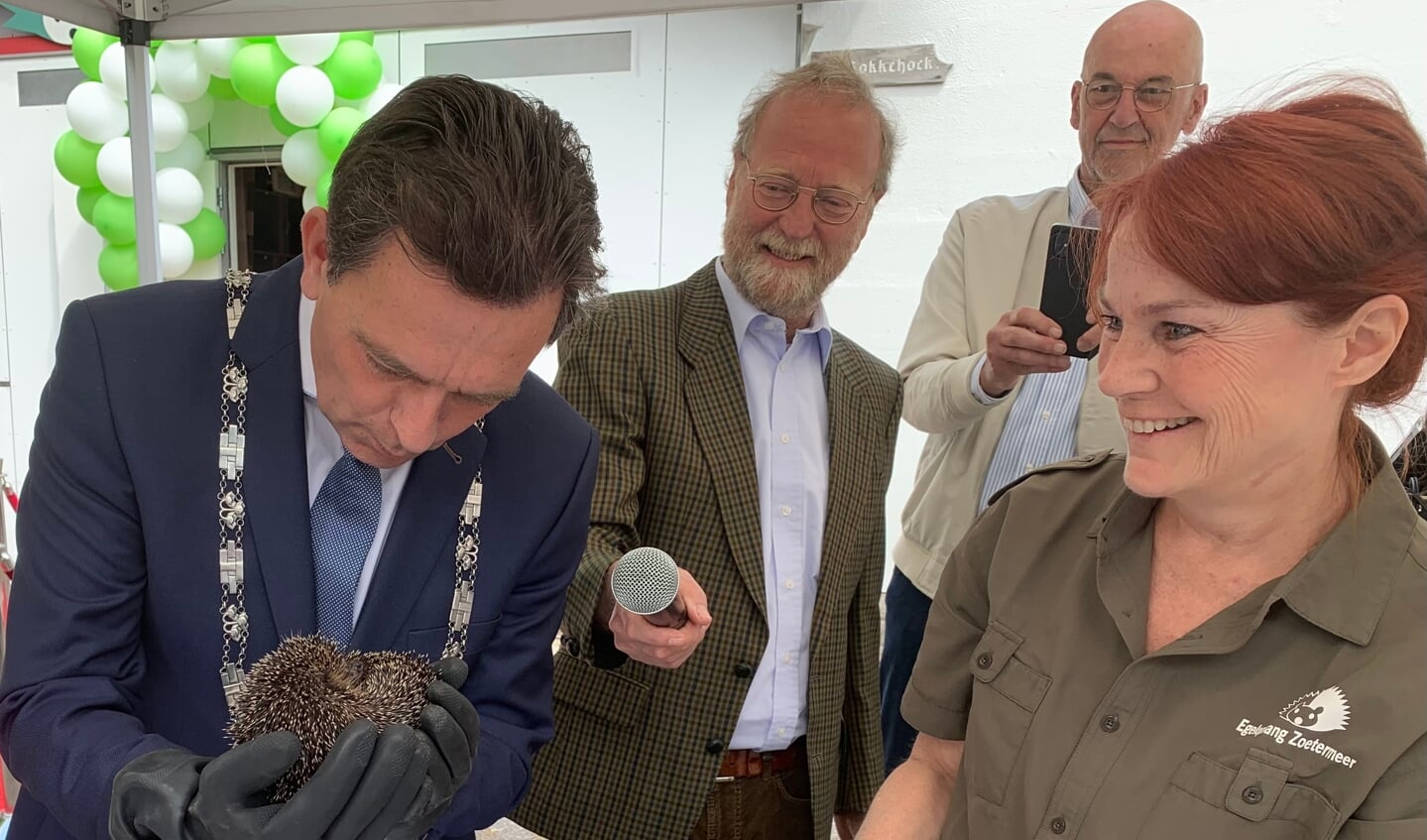 Burgemeester Bezuijen onderzoekt egel Nicole onder toeziend oog van vrijwilligster Marjolein (foto: Annemarie de Vries)