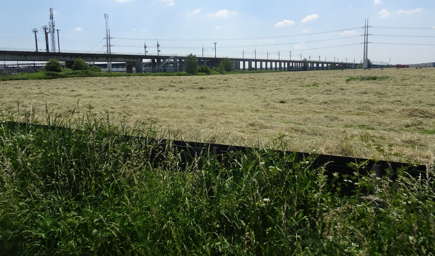 De beoogde locatie voor langdurige opvang: Bleizo-West.