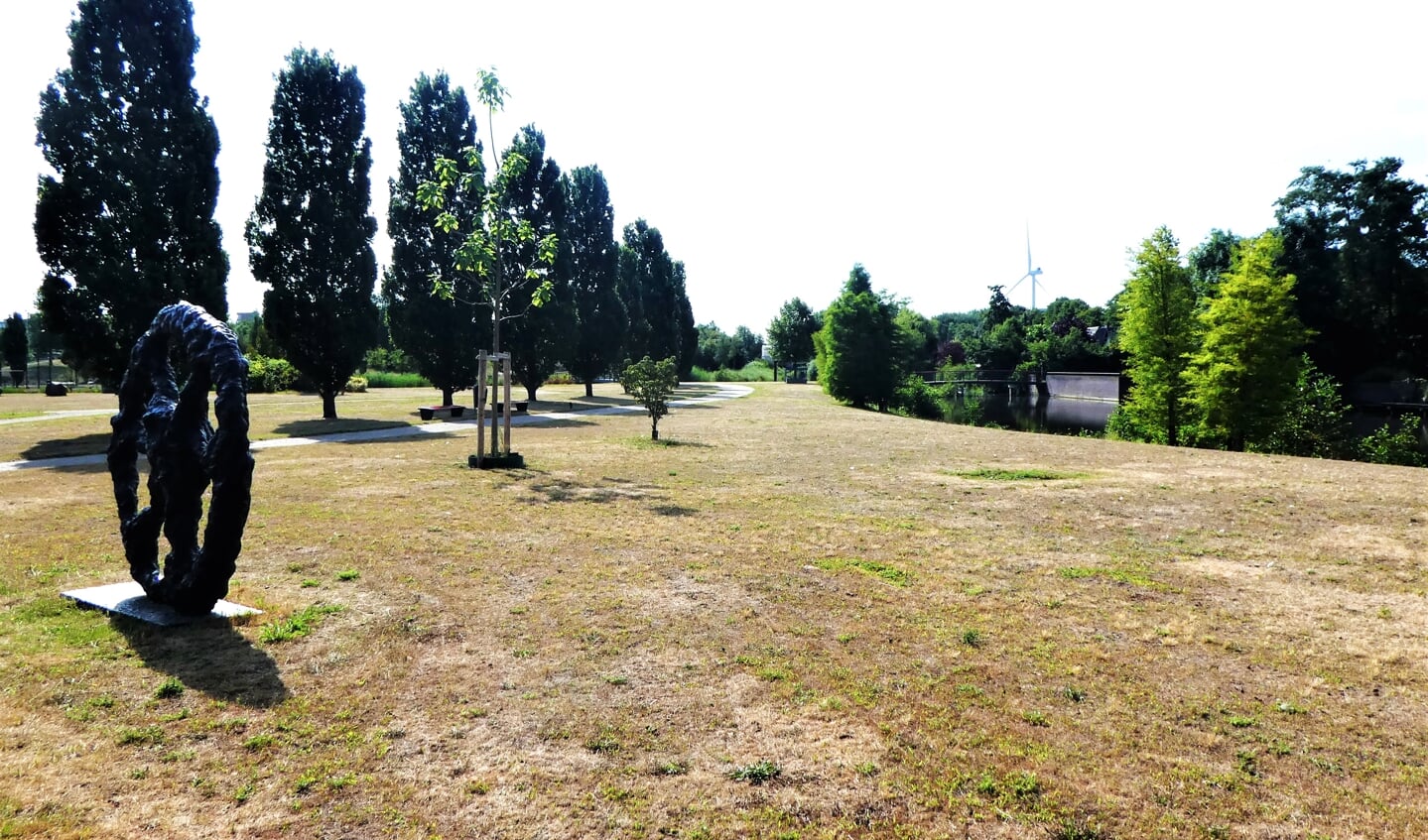 hier en daar nog een plukje groen gras, maar de droogte dreigt ook in het Sijtwendepark toe te slaan (foto: Marian Turkesteen).
