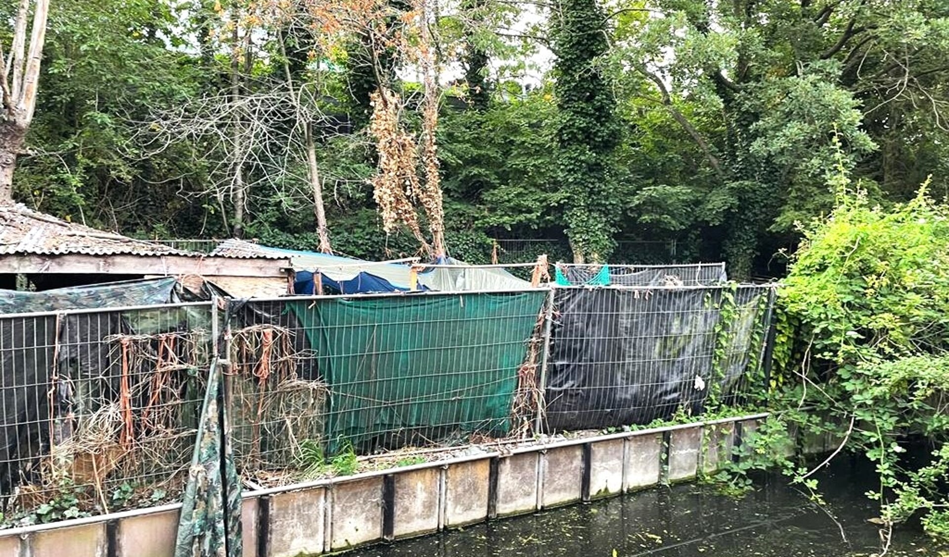 Het verwaarloosde terrein in de spoorstrook bij de Nic. Beetslaan (foto: Ap de Heus).