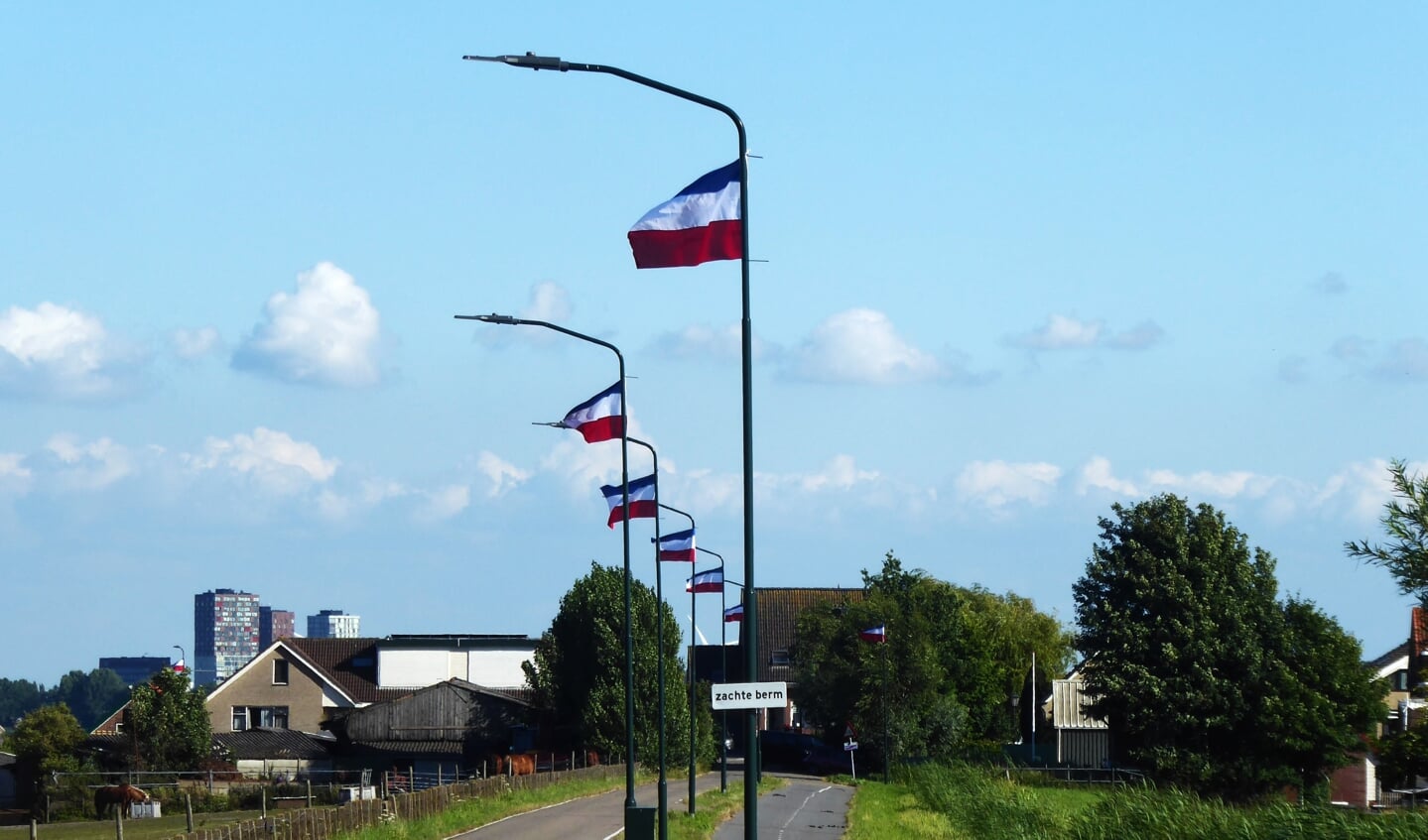 Protestvlaggen op de Kniplaan in Leidschendam bij Stompwijk (foto: Agnes van Boheemen).