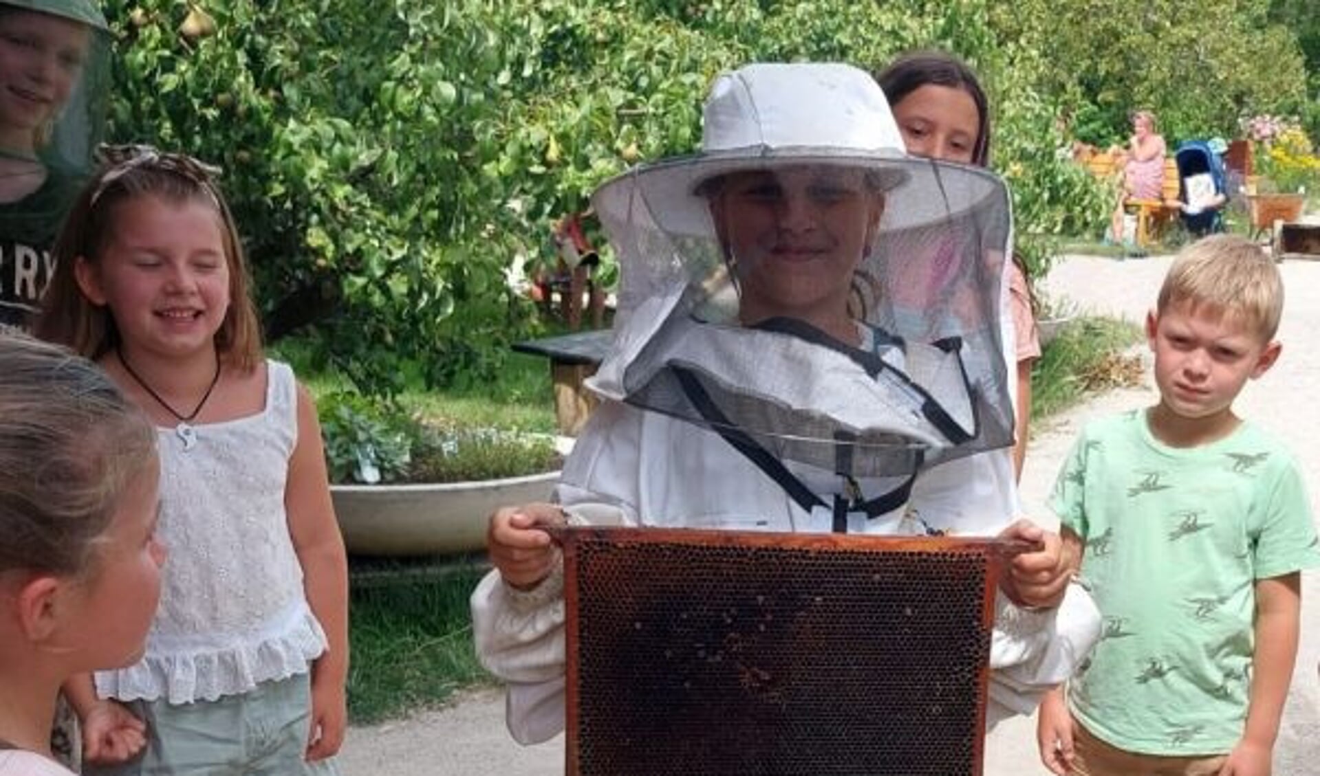 Natuurrangers leren meer over honingbijen,
