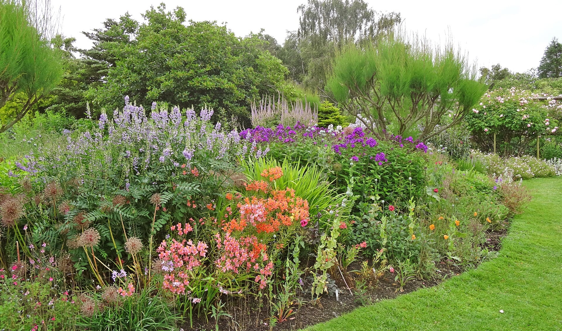 Het is voor mens en dier veel aangenamer vertoeven in een tuin met een weelderige plantengroei. (foto: pr Groei en Bloei).