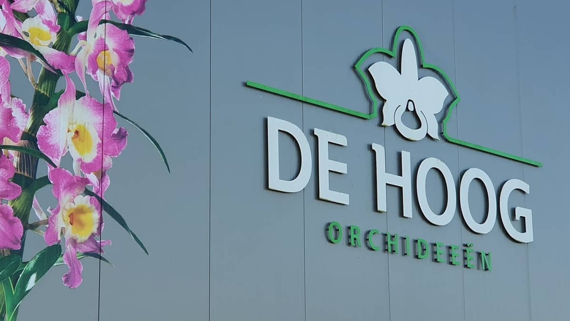 Vacature Bij De Hoog Orchids In Delfgauw - Adverteren Pijnacker-Nootdorp |  Telstar-Online | Krant En Online