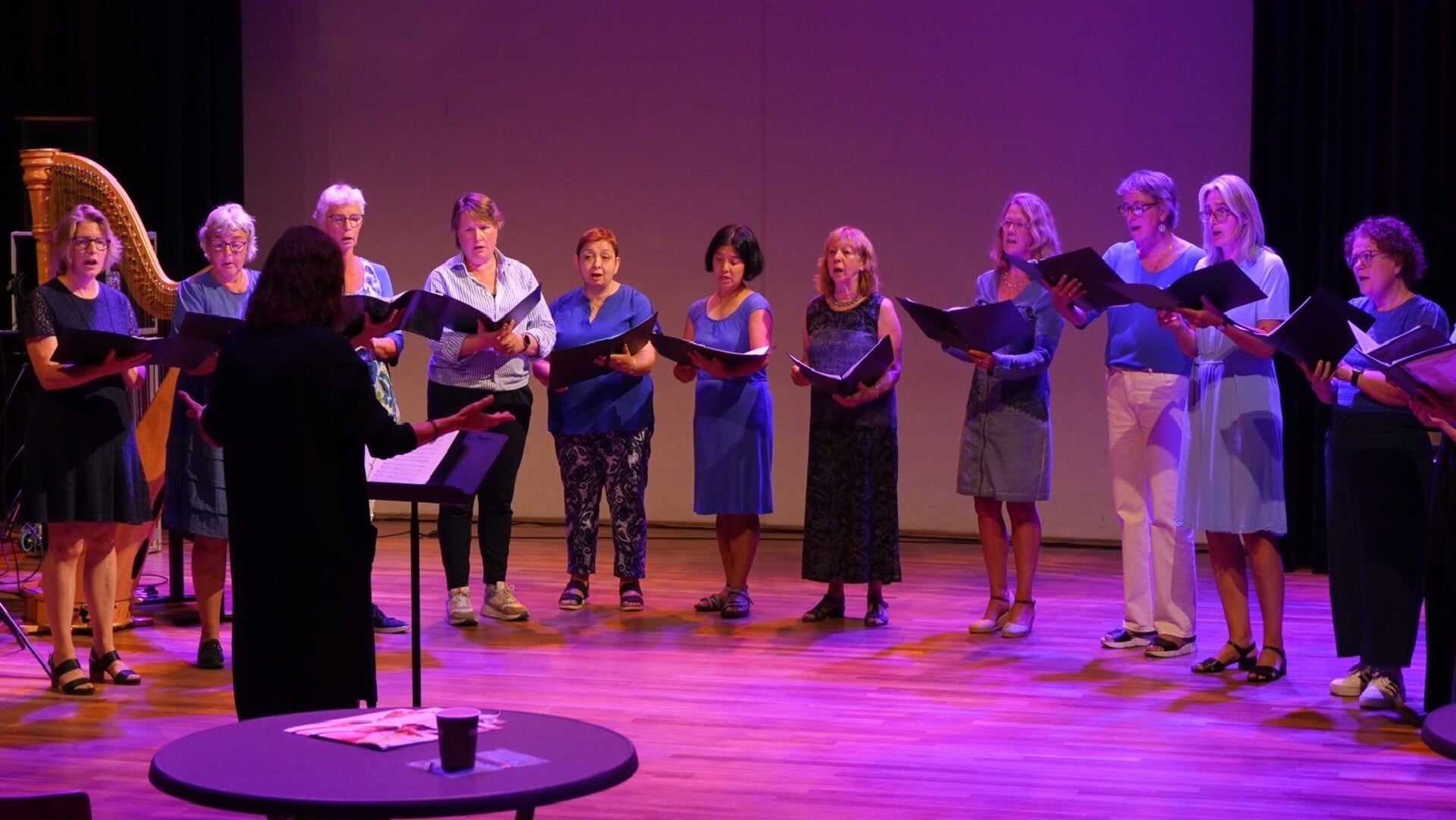 Het koor Belles Voix kan zeker nog wat versterking gebruiken.