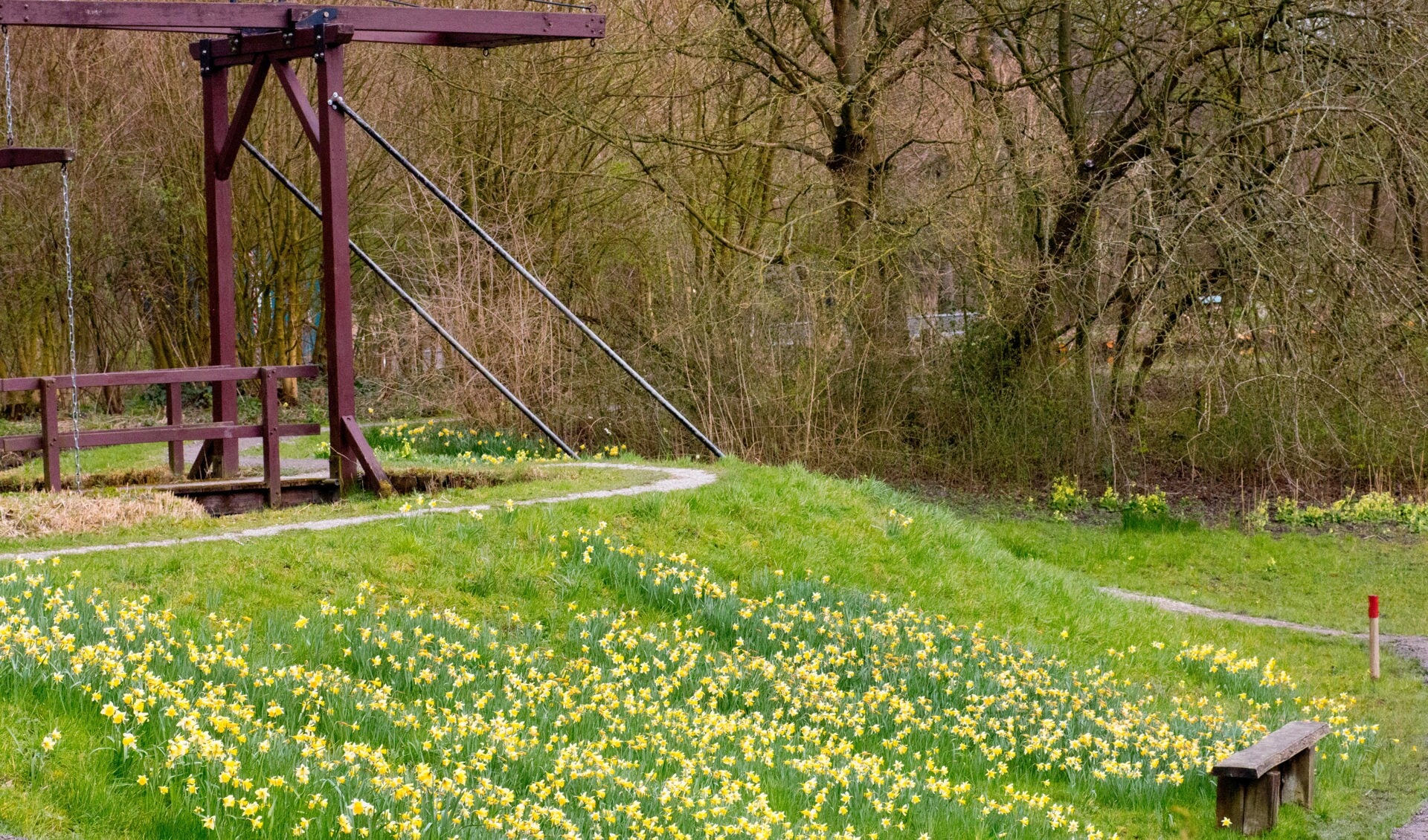 Bloemrijke dijk. Foto: Ep Booneman