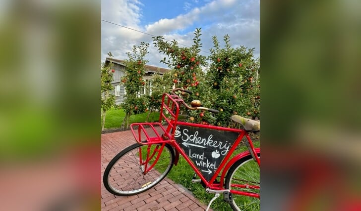 Afbeelding