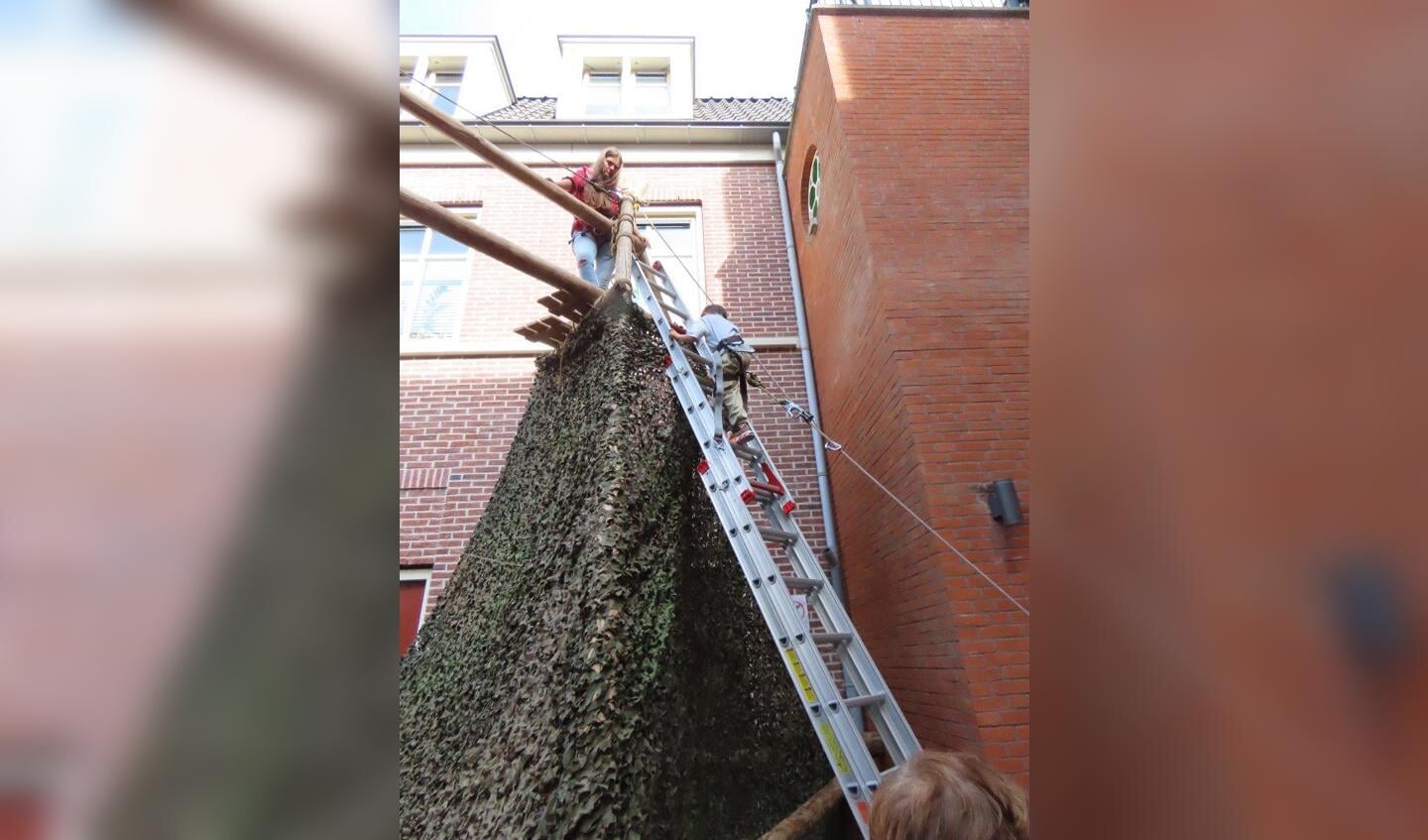 Afbeelding