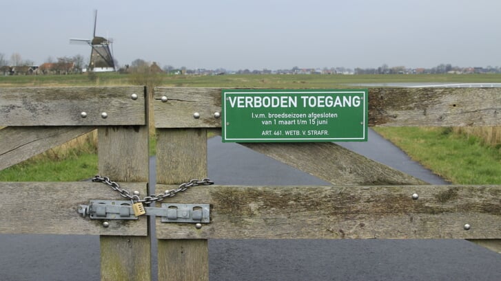 De Bergboezem is gelegen in de lage polder achter Oude Leede richting Ackerdijk. (foto: Cor Noorman)